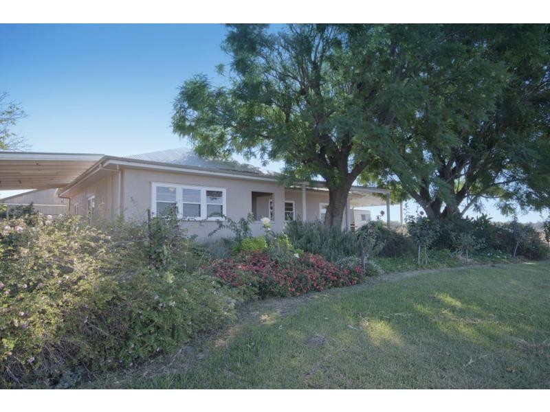 175 Keenans Drive, Dareton NSW 2717