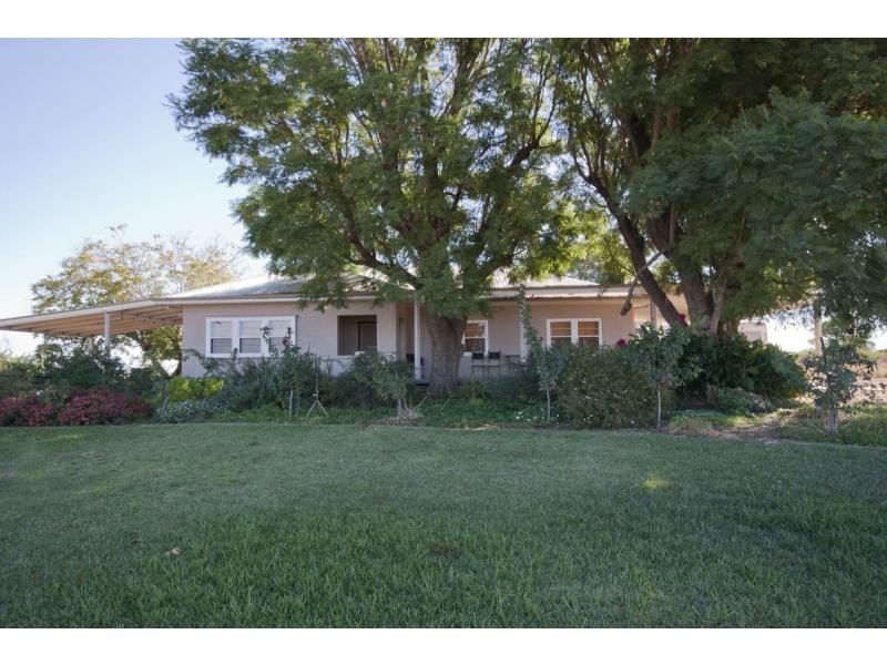 175 Keenans Drive, Dareton NSW 2717