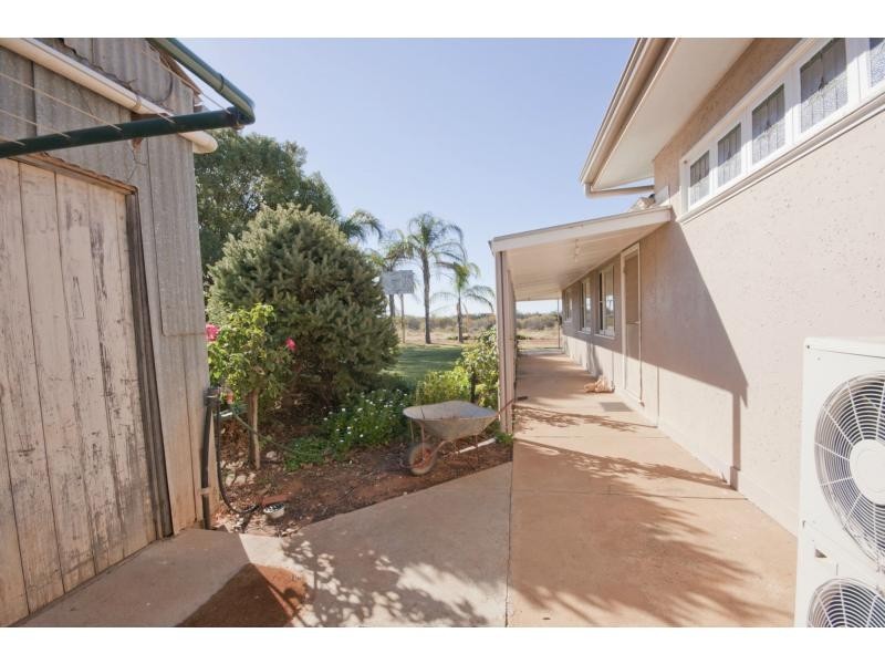 175 Keenans Drive, Dareton NSW 2717