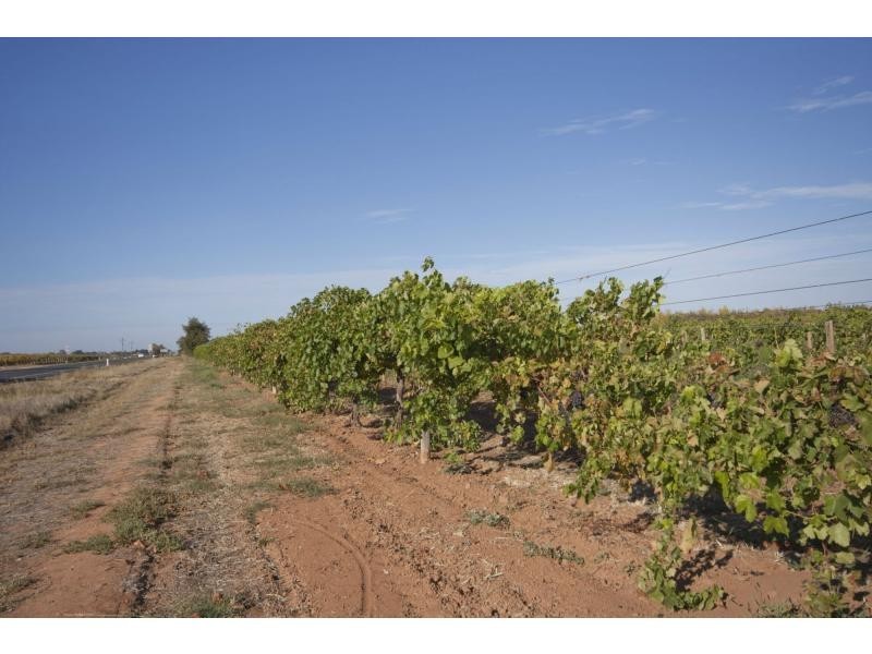 39 Main Avenue South, Merbein VIC 3505