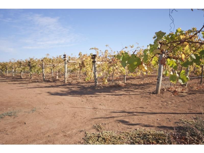 39 Main Avenue South, Merbein VIC 3505