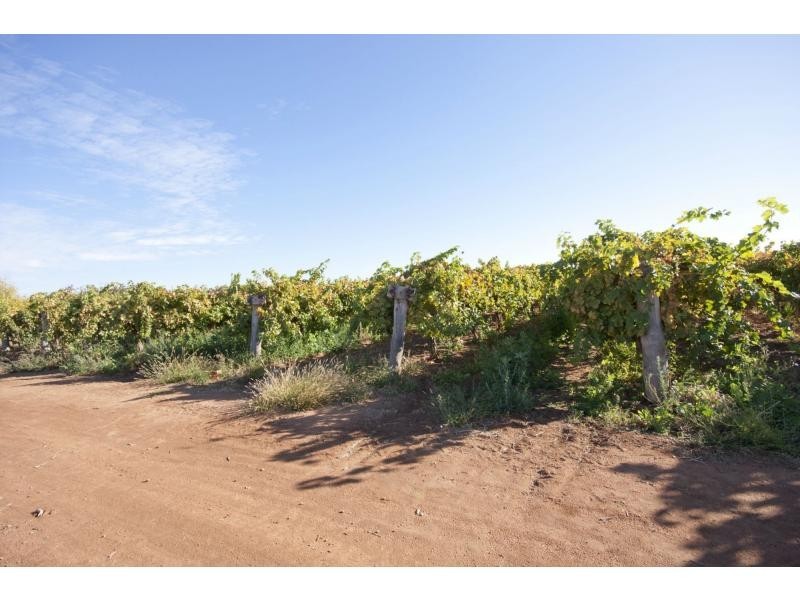 39 Main Avenue South, Merbein VIC 3505