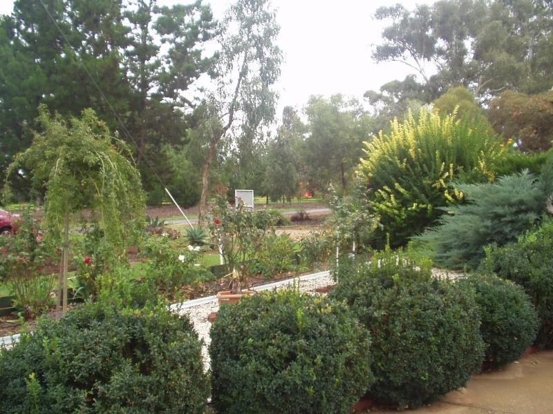 3 Forbes Drive, Merbein VIC 3505