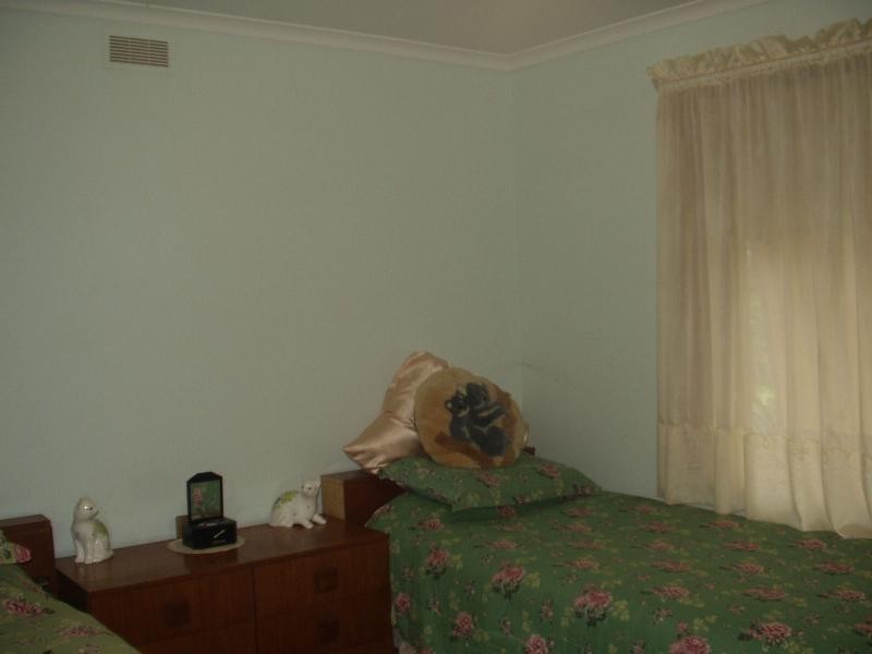 3 Forbes Drive, Merbein VIC 3505