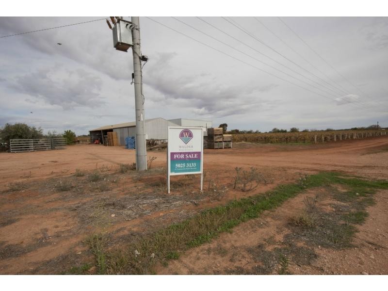 101 Seventh Street, Merbein South VIC 3505