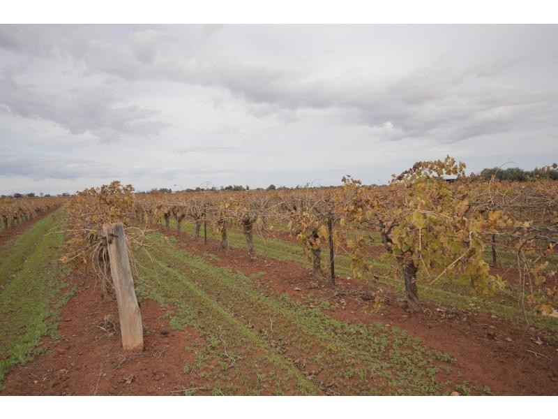 101 Seventh Street, Merbein South VIC 3505