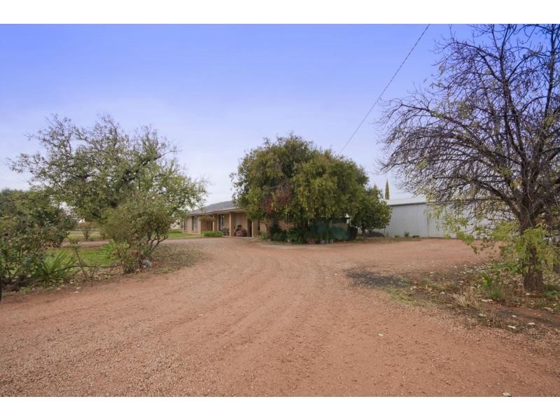 101 Seventh Street, Merbein South VIC 3505