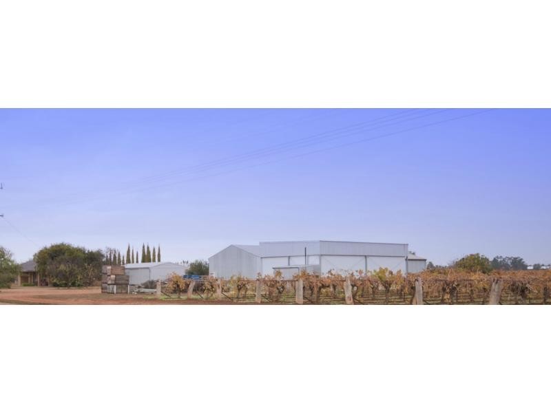 101 Seventh Street, Merbein South VIC 3505