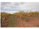 132 Seventh Street, Merbein South VIC 3505