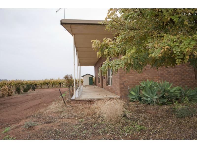 132 Seventh Street, Merbein South VIC 3505