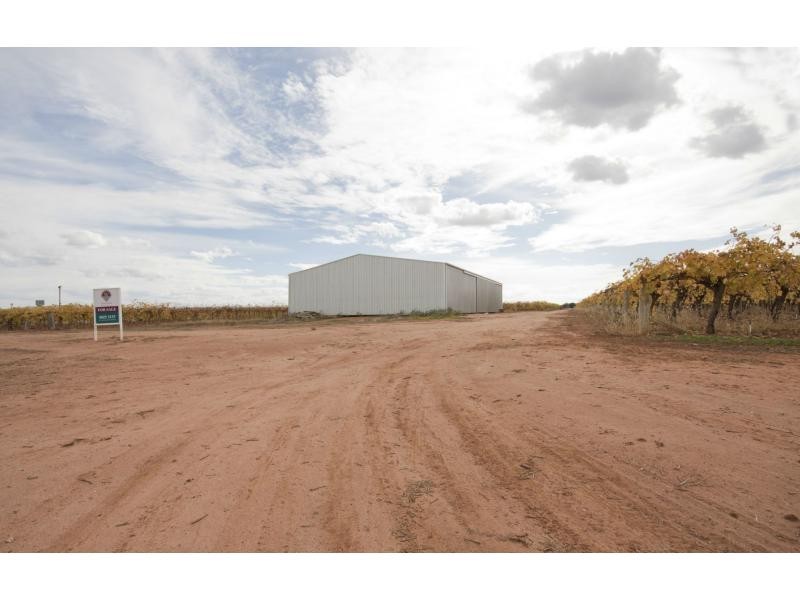 132 Seventh Street, Merbein South VIC 3505
