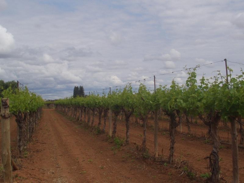 207 Fifth Street, Merbein VIC 3505