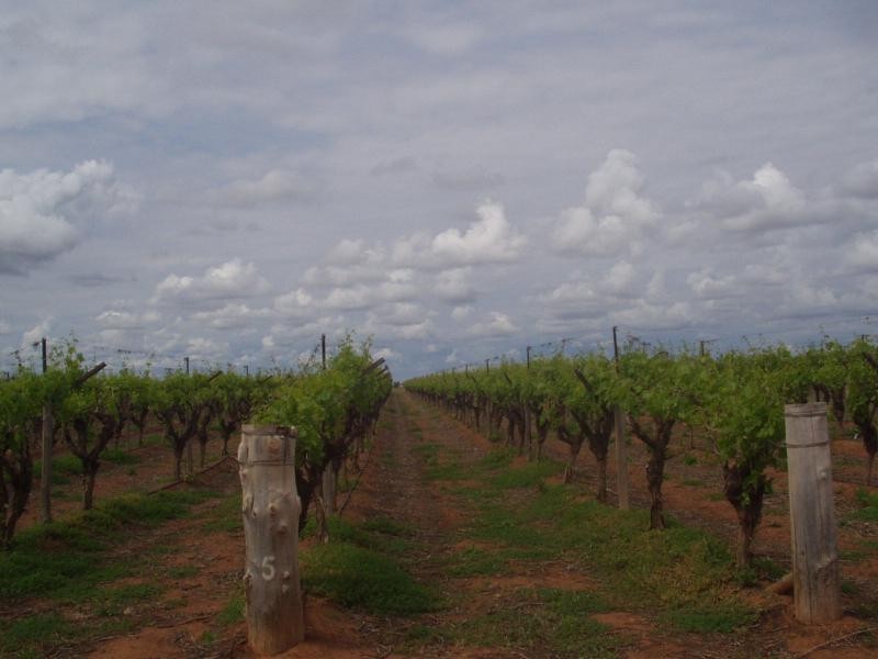 207 Fifth Street, Merbein VIC 3505