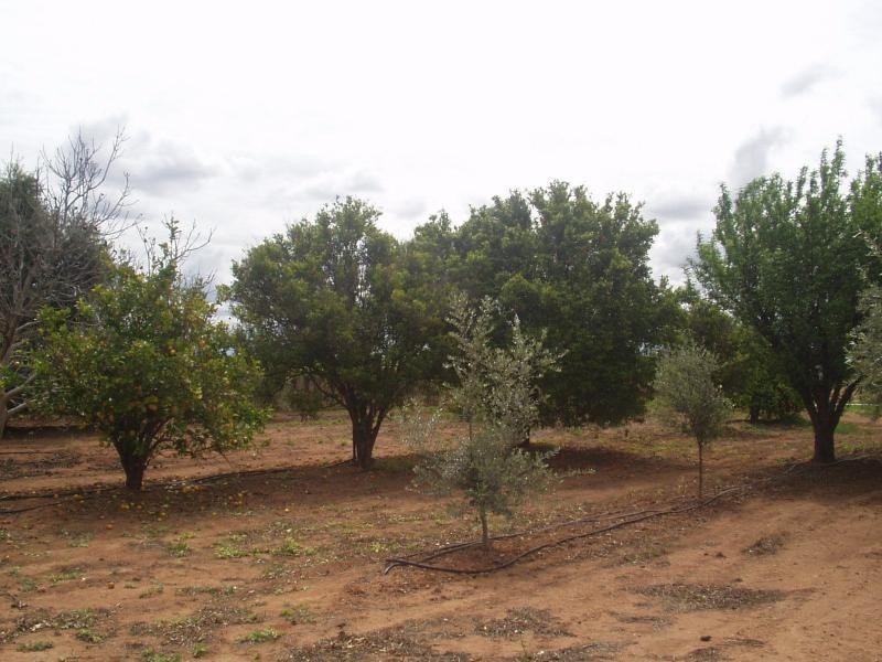 207 Fifth Street, Merbein VIC 3505