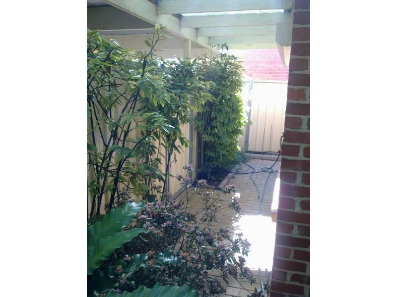 1/107 Commercial Street, Merbein VIC 3505