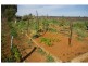 63 Myall Lane, Merbein VIC 3505