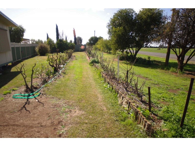 313 River Ave, Merbein VIC 3505