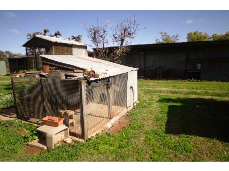 313 River Ave, Merbein VIC 3505