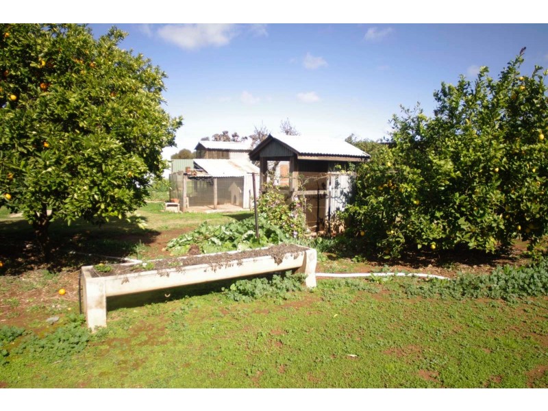 313 River Ave, Merbein VIC 3505