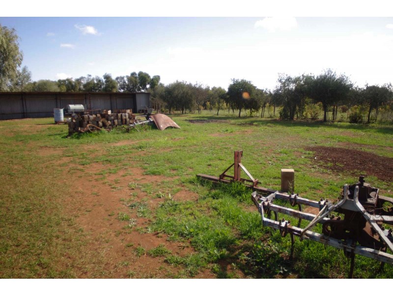 313 River Ave, Merbein VIC 3505