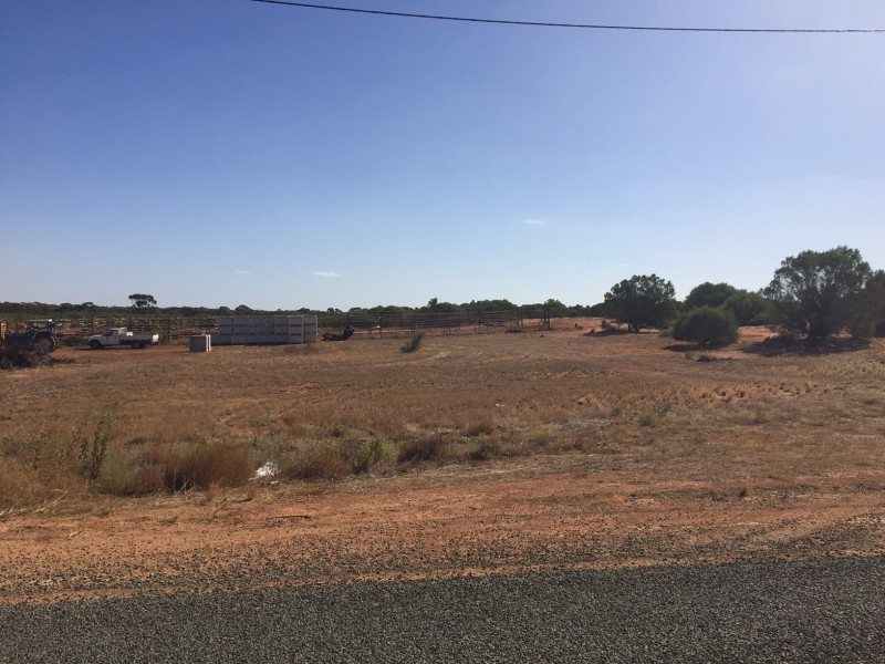 165d Honour Avenue, Merbein VIC 3505