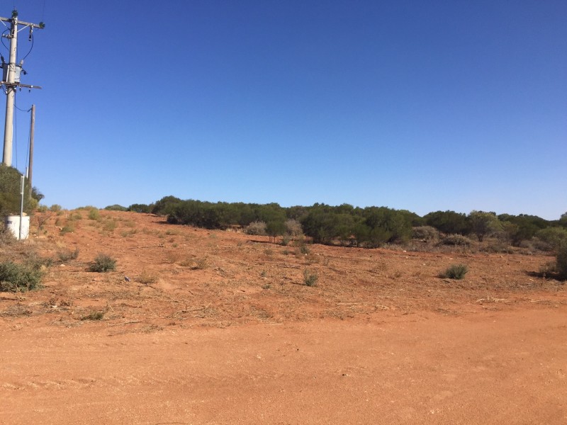 165d Honour Avenue, Merbein VIC 3505