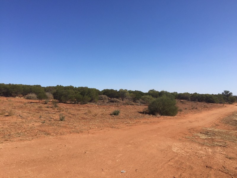 165d Honour Avenue, Merbein VIC 3505