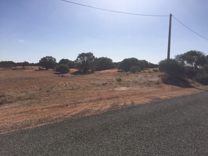 165d Honour Avenue, Merbein VIC 3505