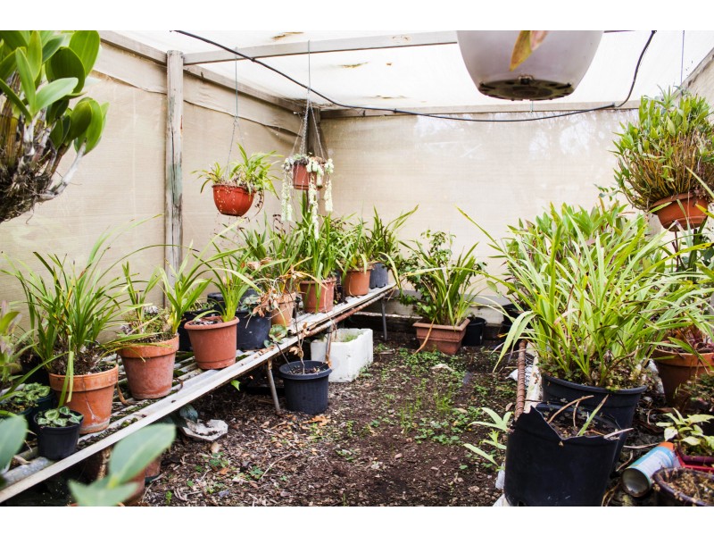 81 Chaffey Park Dr E, Merbein VIC 3505