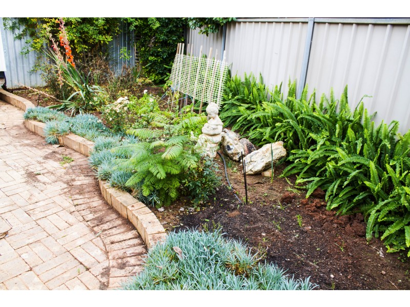 81 Chaffey Park Dr E, Merbein VIC 3505