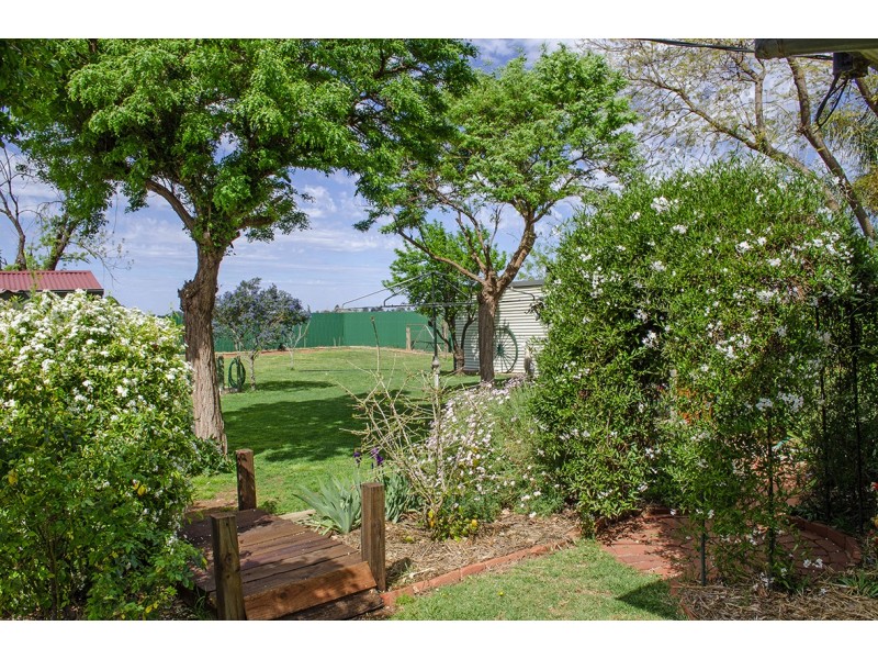 51 Wolfe Rd, Red Cliffs VIC 3496