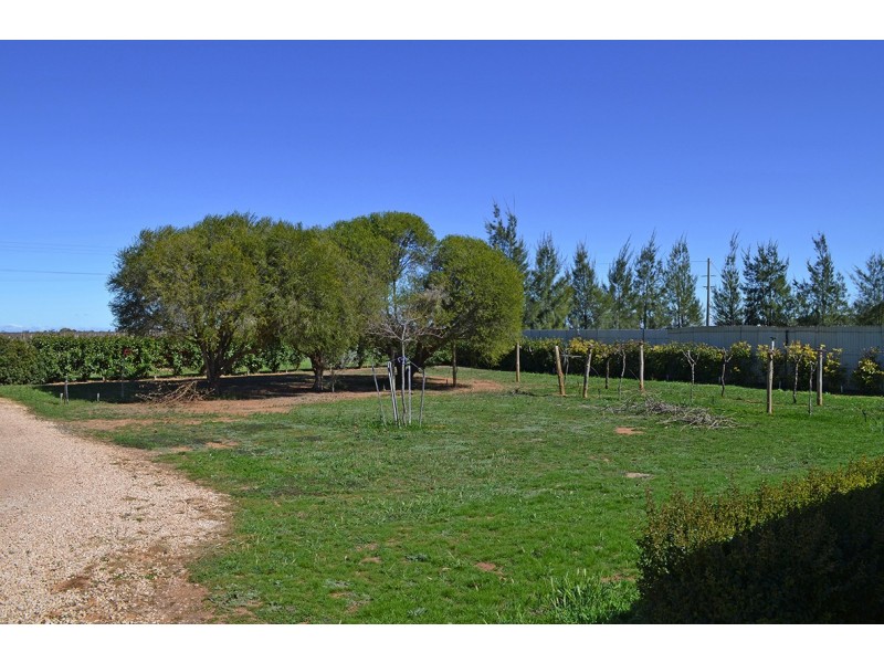 506 McEdward St, Birdwoodton VIC 3505