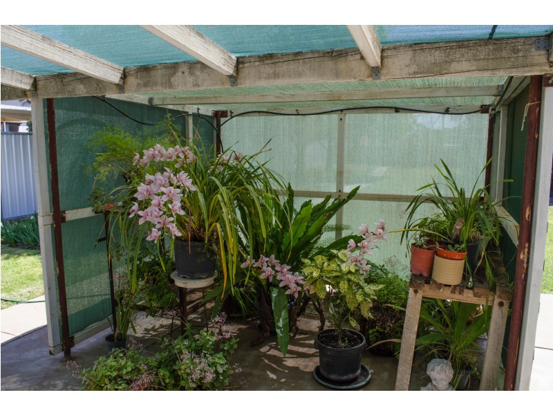 103 Game St, Merbein VIC 3505