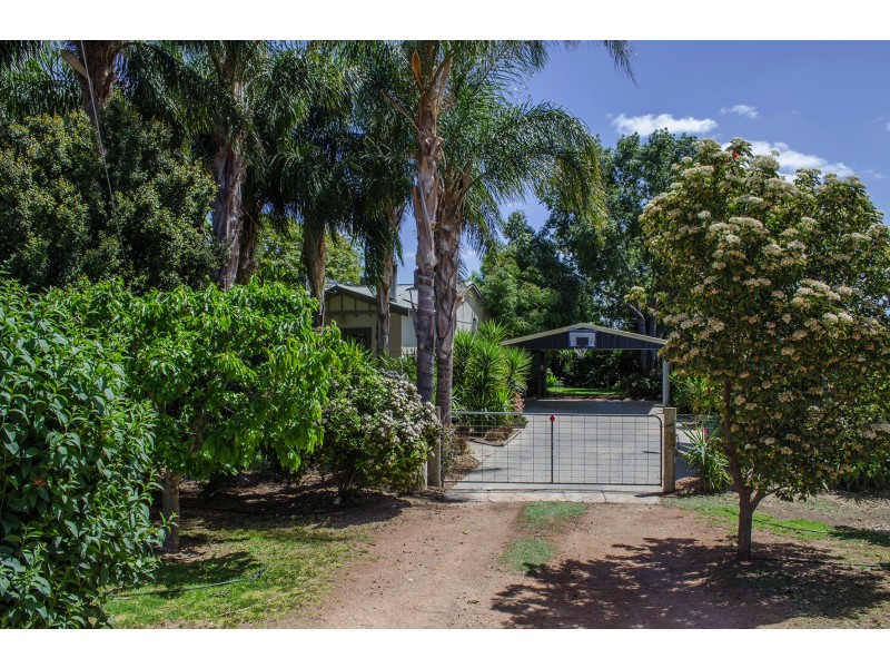 128 Creek Rd, Curlwaa NSW 2648