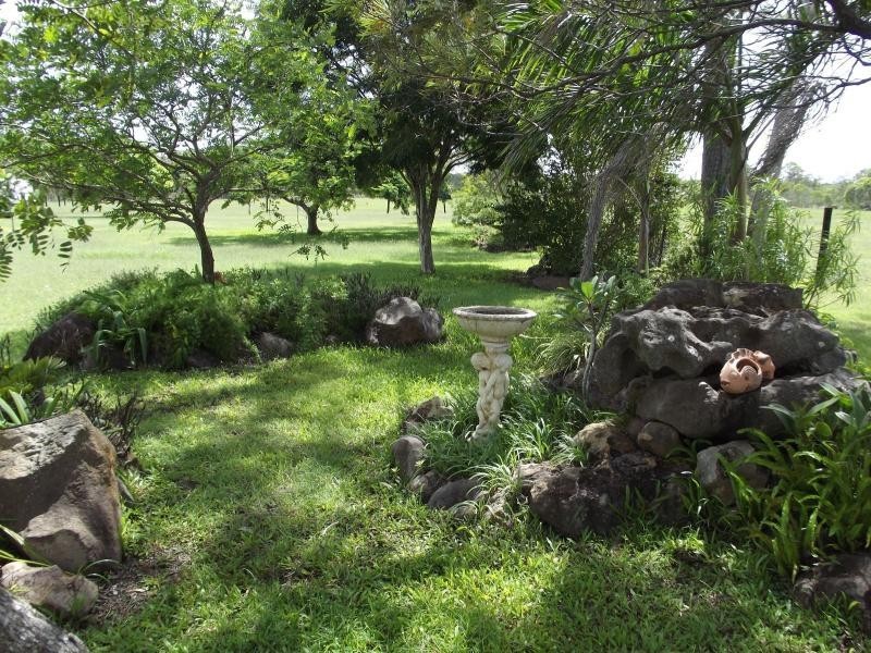 Mullett Creek QLD 4670