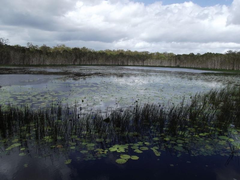 Mullett Creek QLD 4670