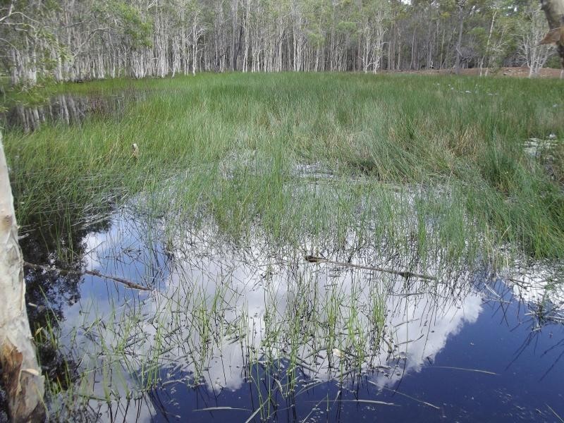 Mullett Creek QLD 4670