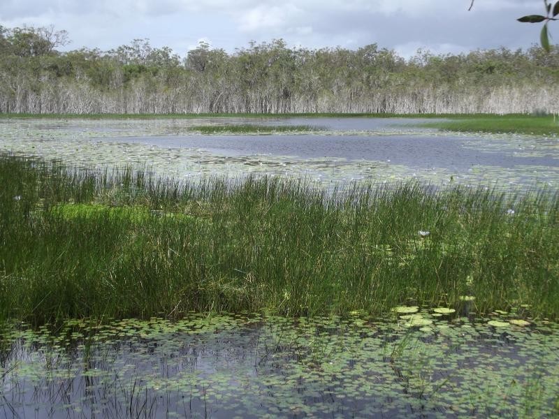 Mullett Creek QLD 4670