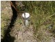 Moolboolaman QLD 4671