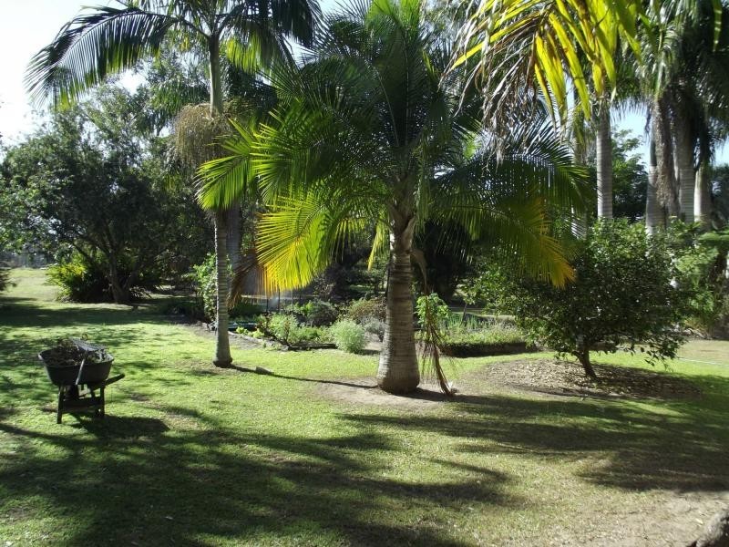 South Kolan QLD 4670