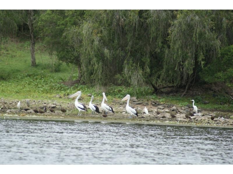 385 WALKERS Road, South Bingera QLD 4670