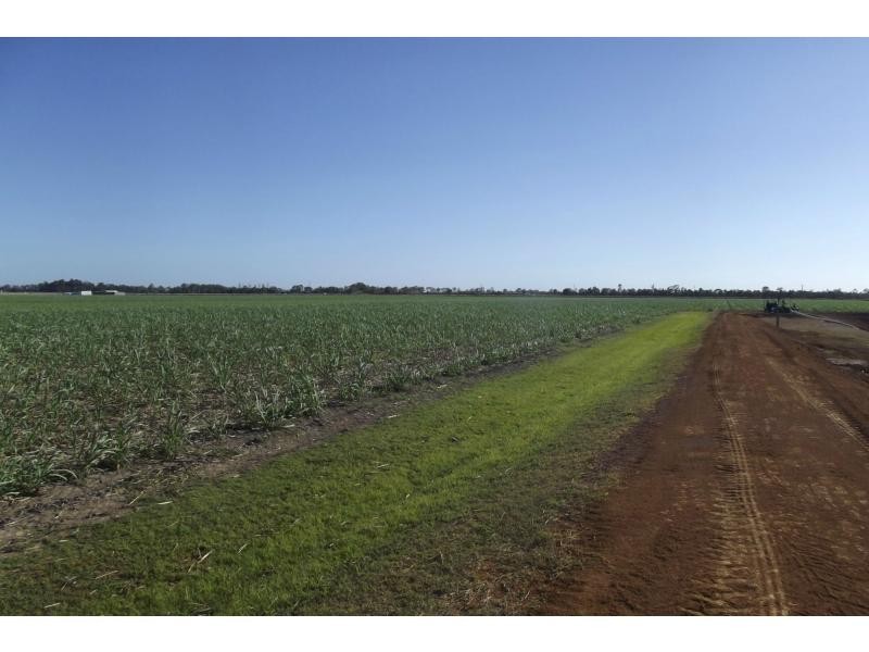 Moore Park Beach QLD 4670