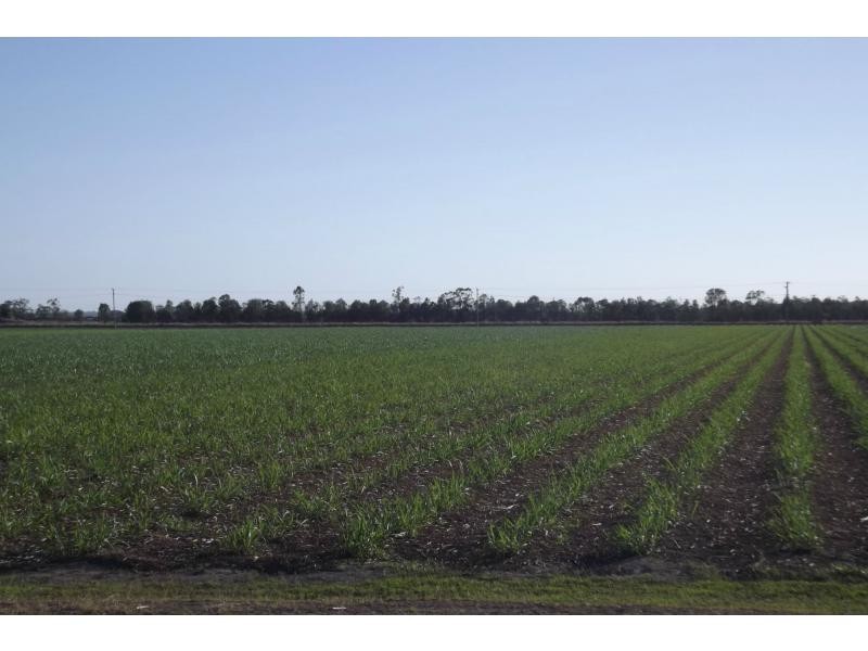 Moore Park Beach QLD 4670