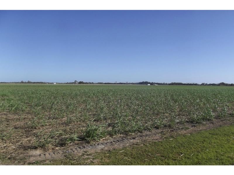 Moore Park Beach QLD 4670