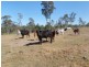 Gin Gin QLD 4671