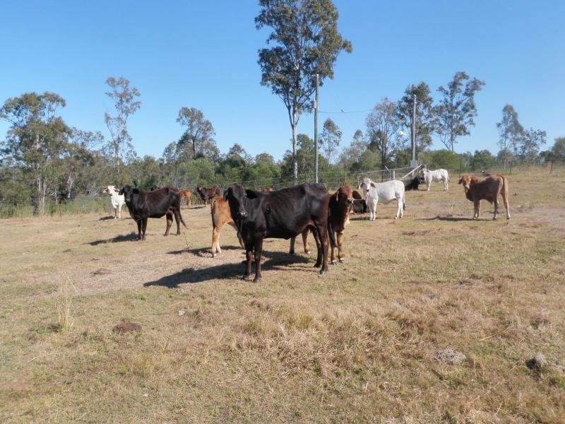 Gin Gin QLD 4671