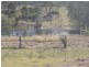 Gin Gin QLD 4671