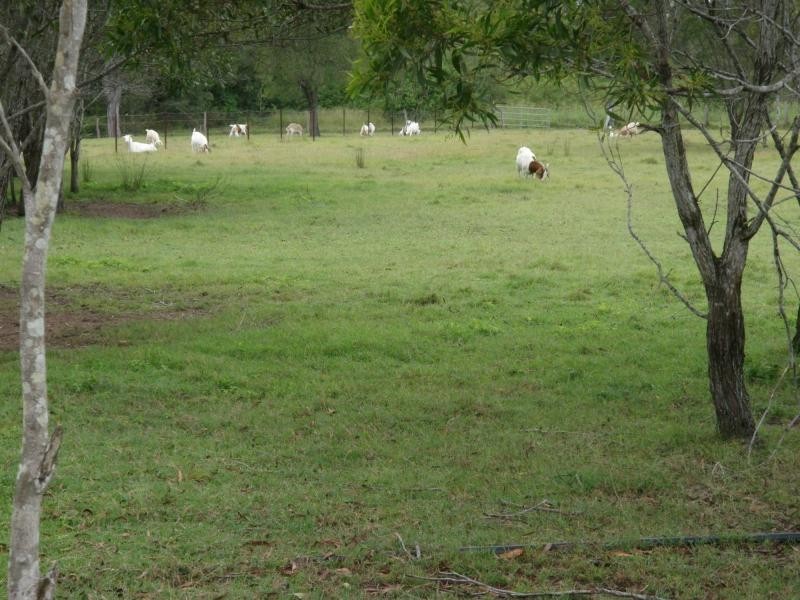 Avondale QLD 4670