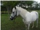 Avondale QLD 4670