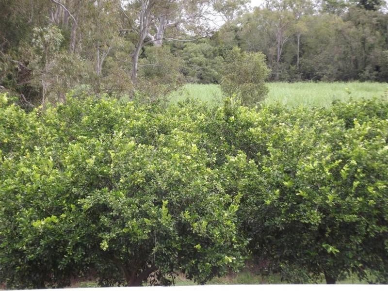 Drinan QLD 4671